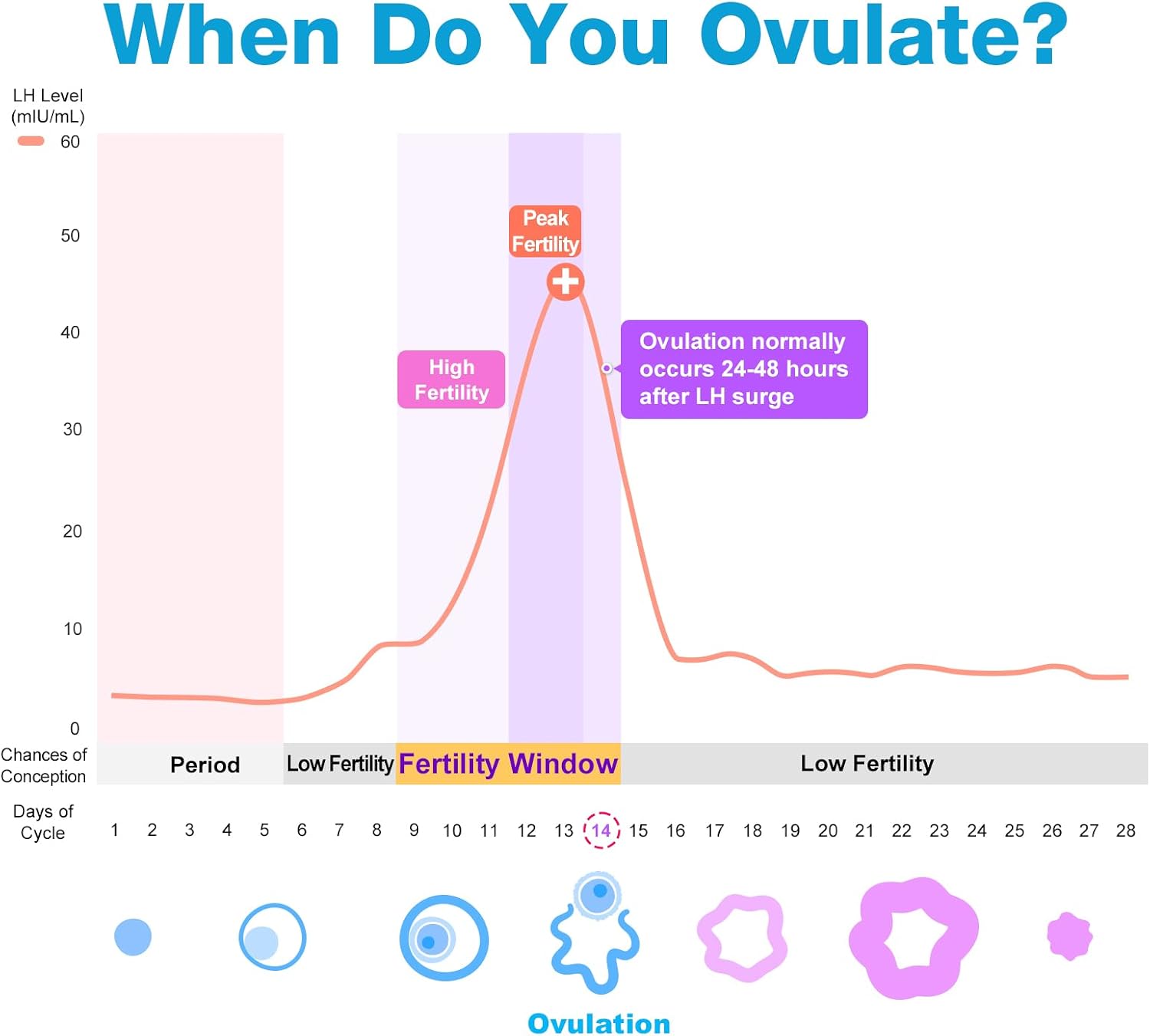 Easy@Home Ovulation Test Strips, 25 Pack Fertility Tests | Ovulation Predictor Kit, Powered by Premom Ovulation Predictor iOS and Android App, 25 LH Strips - Image 5