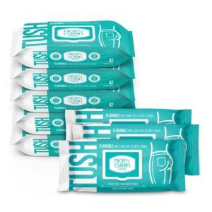 Nice ‘N Clean Adult Flushable...