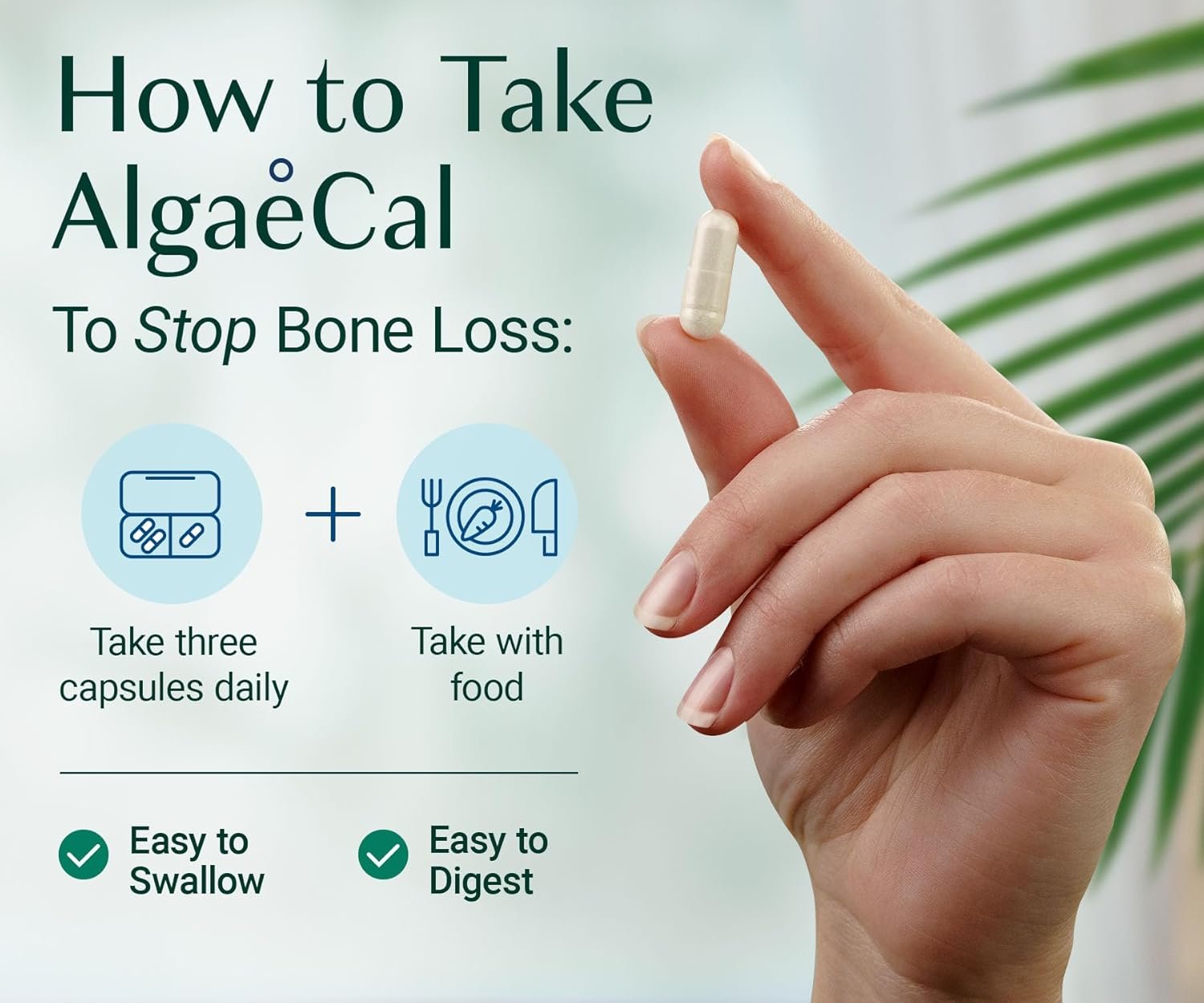ALGAECAL Plant Based Calcium Supplement for Bone Strength, 90 Caps, 1 Pack | Organic red algae calcium 750mg with D3 1000 IU and 13 minerals for daily bone health support. Veggie capsules. - Image 7