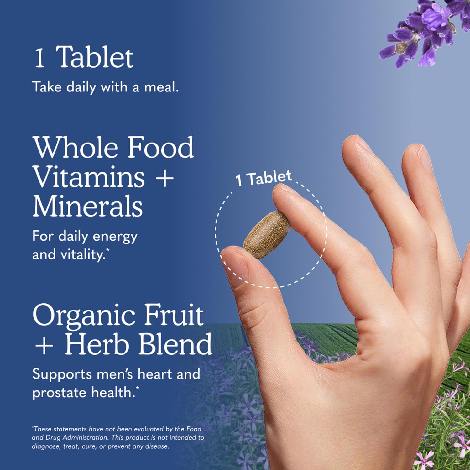 Garden of Life Once Daily Whole Food Multivitamin for Men, Organic Mens Vitamins & Minerals, Vitamin C, Zinc, Vegan, for Health & Well-Being, 60 Tablets | Organic Mens Vitamins & Minerals, Vitamin C, Zinc, Vegan, For Health & Well-Being, Whole Food - Image 5