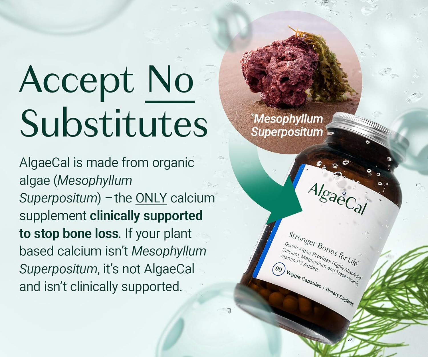 ALGAECAL Plant Based Calcium Supplement for Bone Strength, 90 Caps, 1 Pack | Organic red algae calcium 750mg with D3 1000 IU and 13 minerals for daily bone health support. Veggie capsules. - Image 3