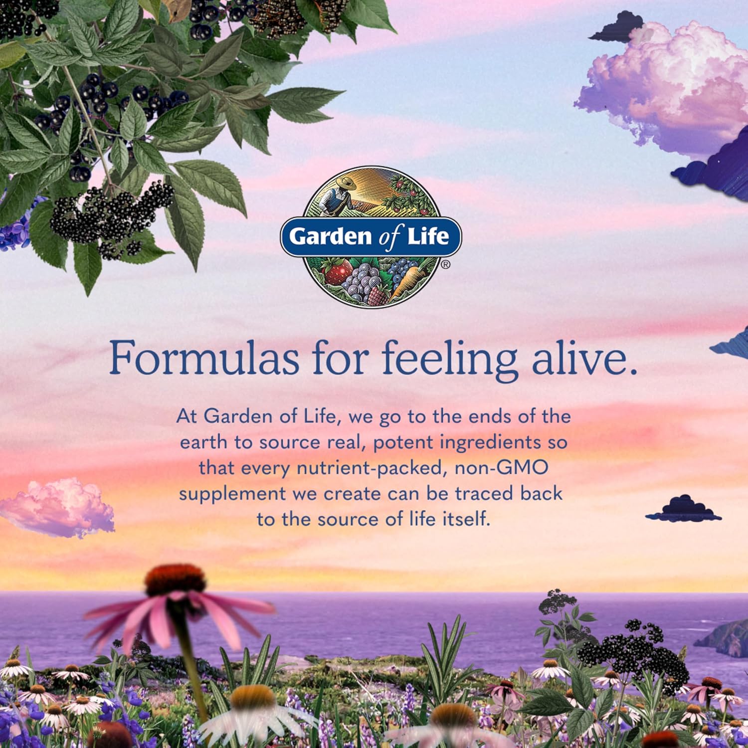 Garden of Life Multivitamin for Women 40 Plus, Organics Womens Vitamins, Hormone & Breast Health Support Blend, Vegan, 120 Tablets | Organic Womens Vitamins, Hormone & Breast Health Support Blend - Image 8
