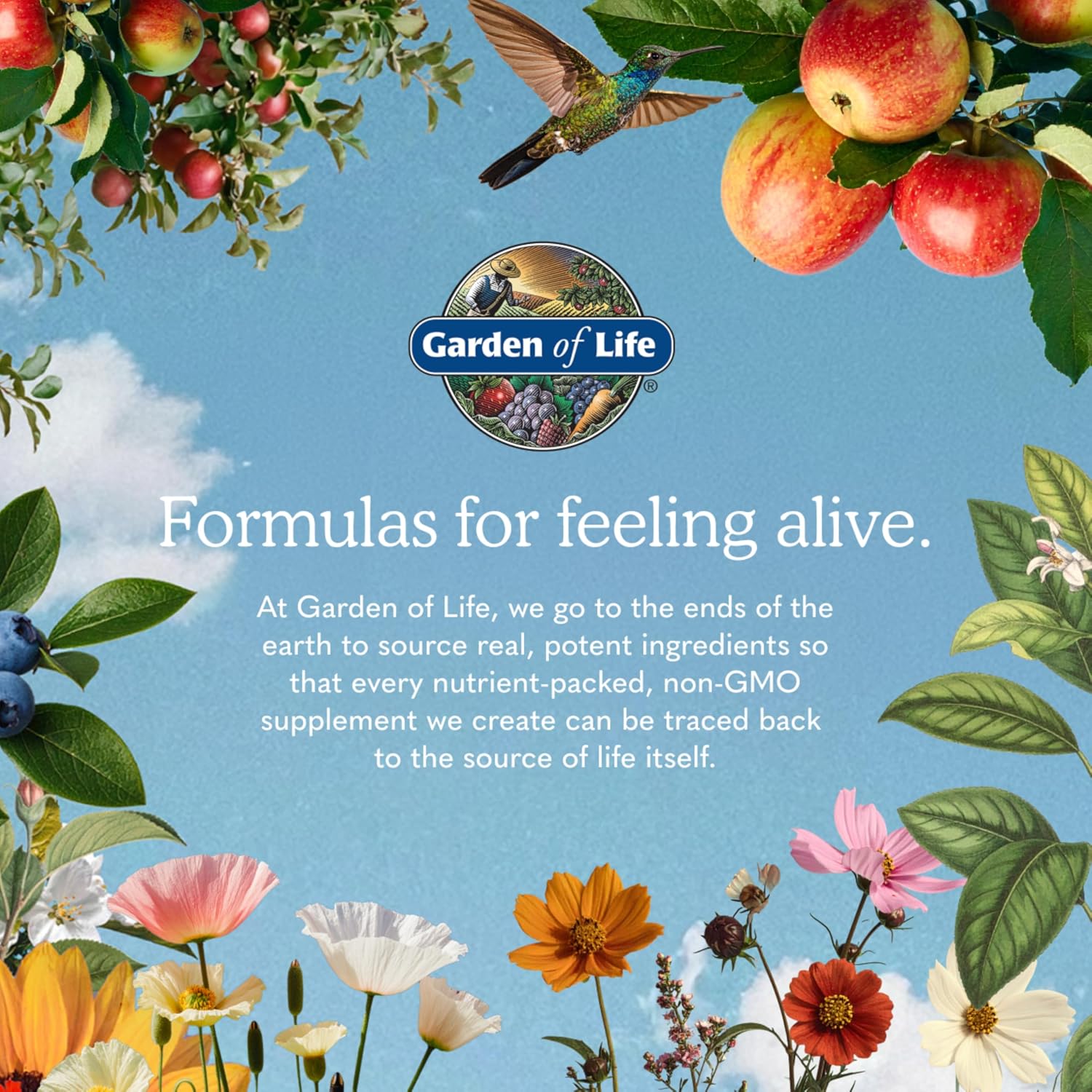 Garden of Life Once Daily Whole Food Multivitamin for Men, Organic Mens Vitamins & Minerals, Vitamin C, Zinc, Vegan, for Health & Well-Being, 60 Tablets | Organic Mens Vitamins & Minerals, Vitamin C, Zinc, Vegan, For Health & Well-Being, Whole Food - Image 8