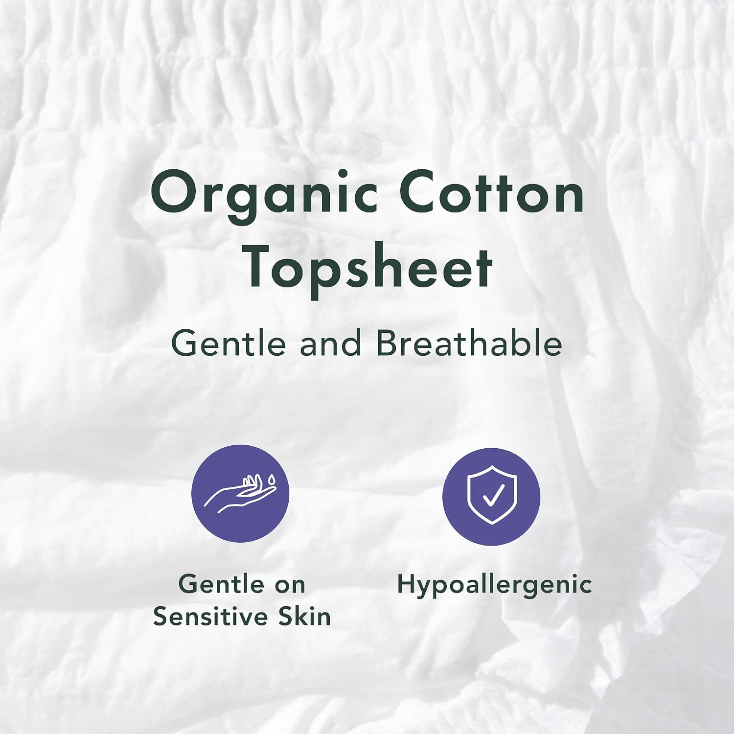 Rael Disposable Period Underwear, Organic Cotton Cover (Size L-XL, 20 Ct) | Leak Locker, Unscented, Extended Coverage for Women, Period Essentials, Postpartum Essentials, Feminine Care - Image 3