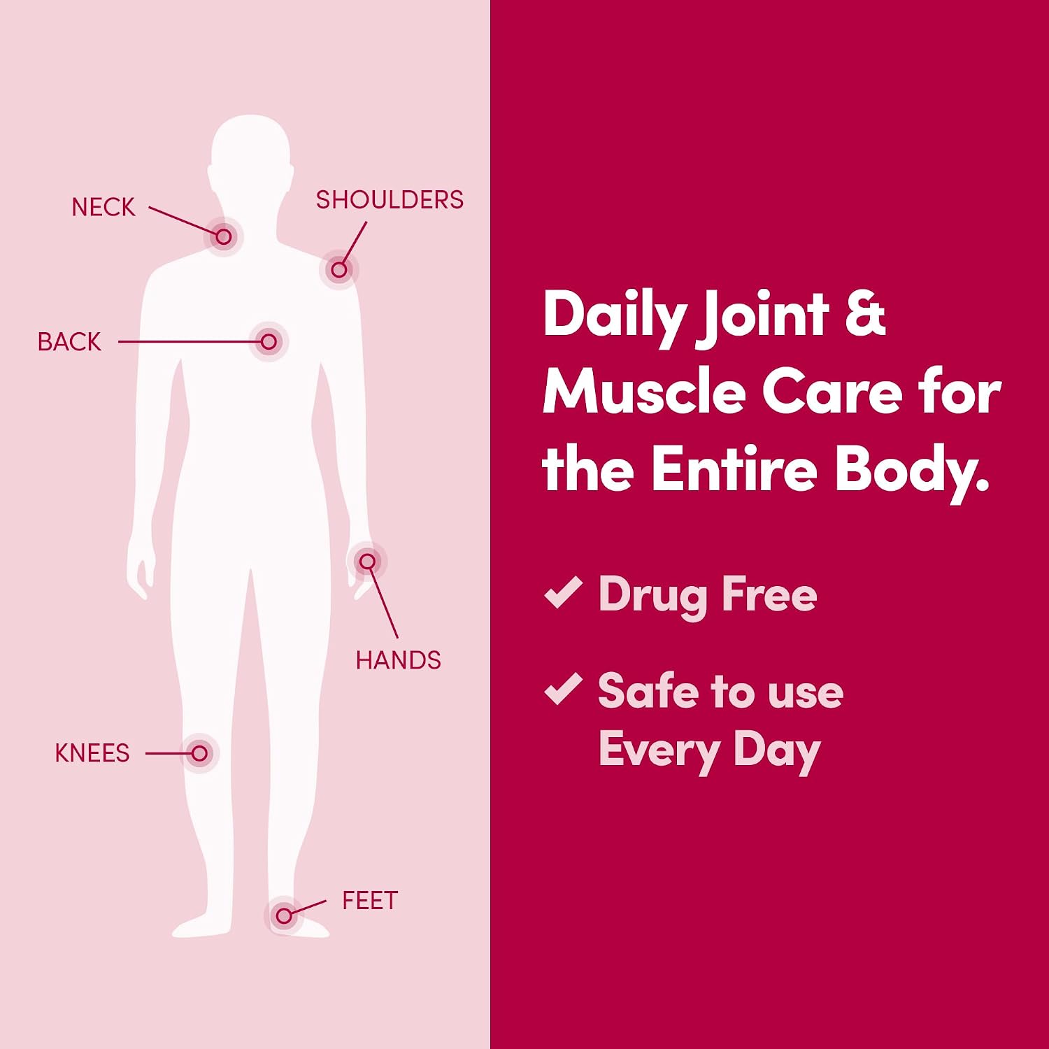 Penetrex Daily Joint & Muscle Care Cream – Soothing Botanical Formula with Arnica, Vitamin B6 & MSM – Lightweight Fast-Absorbing Cream for Everyday Movement - Non-Greasy - Light Scent- 2 oz - Image 6