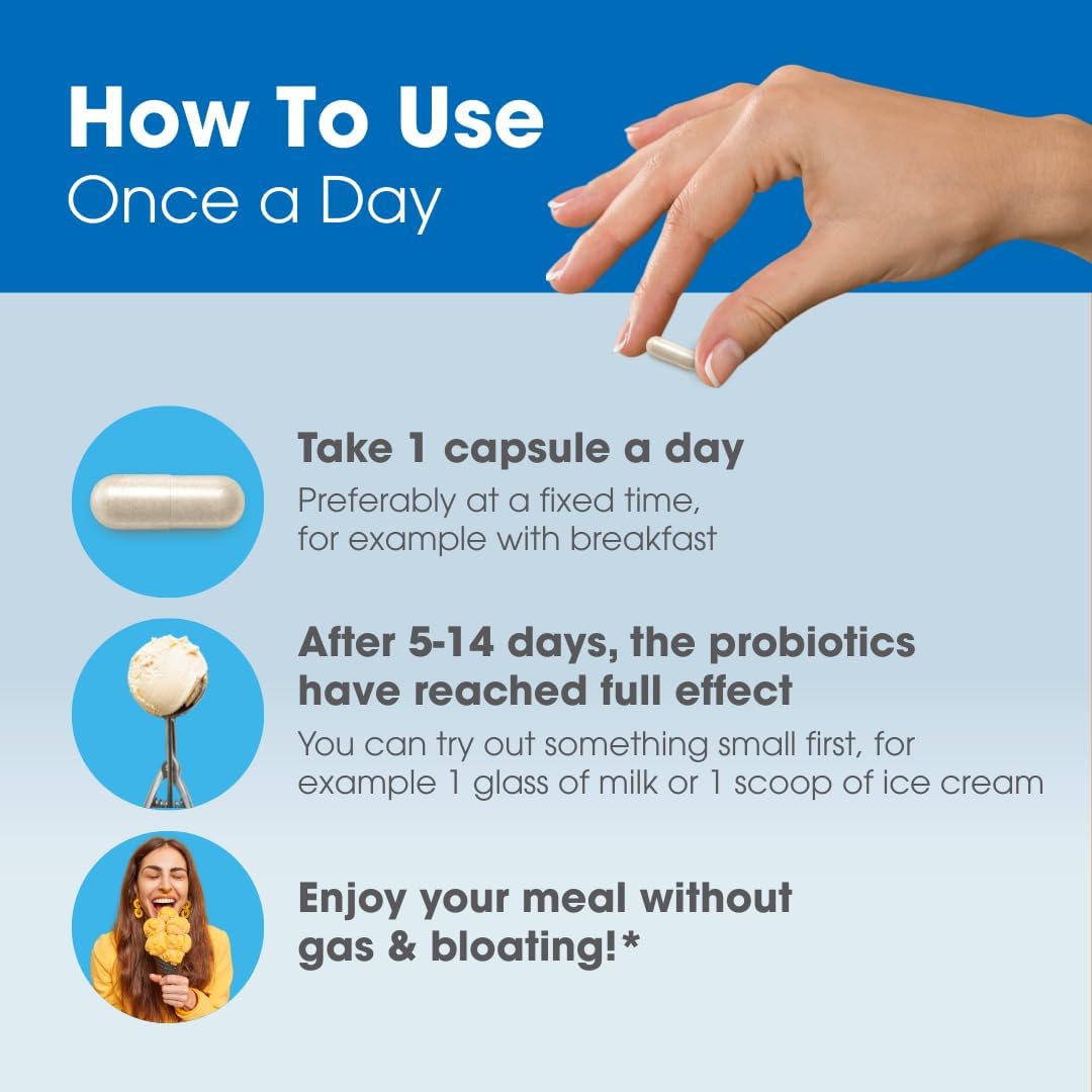 Intoleran Once a Day Probiotic Lactase Supplement - 30 Capsules | Actively Produces Lactase Enzyme, Helps Digest Dairy, 1 Capsule/Day, 6 Lactic Acid Ferments, Pure & Dairy Free - Image 7
