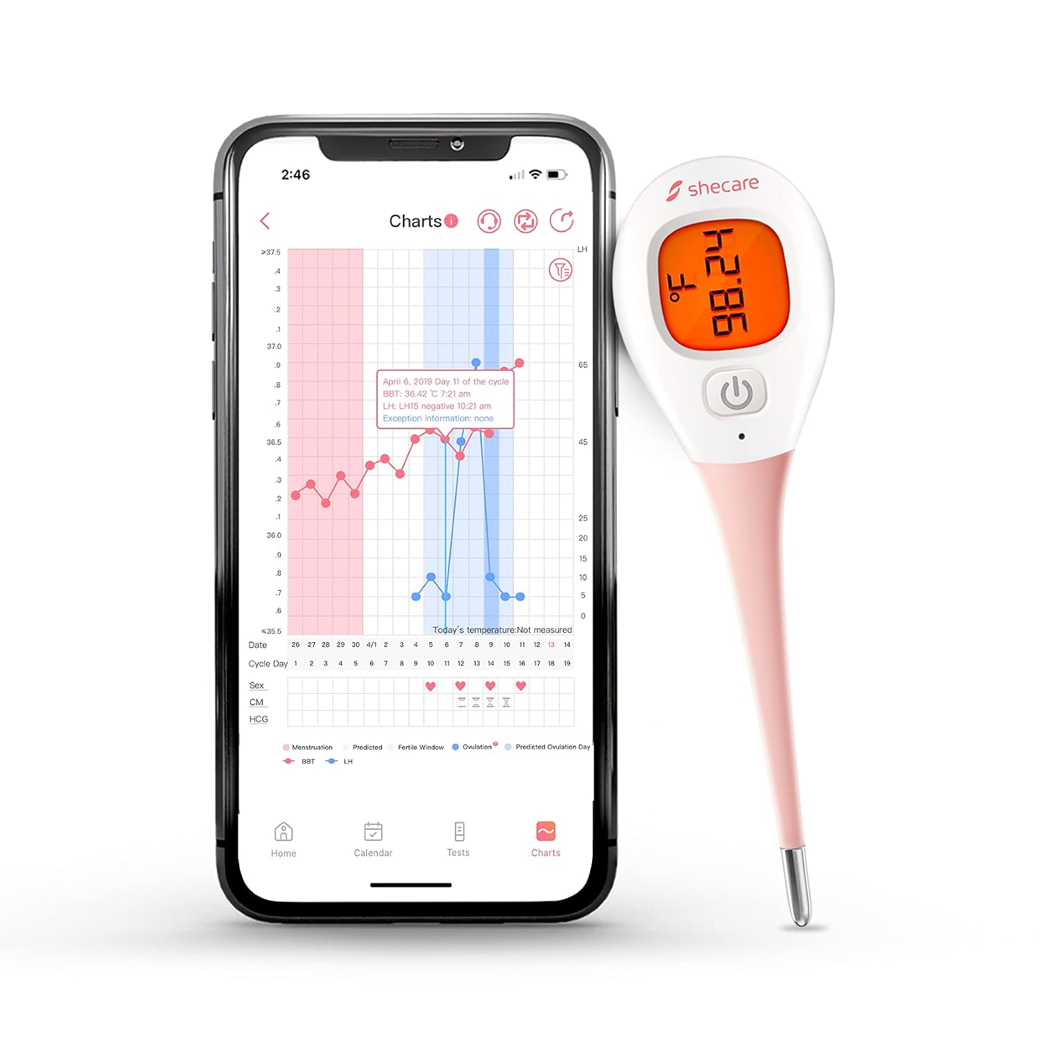 Digital Basal Body Thermometer for ...