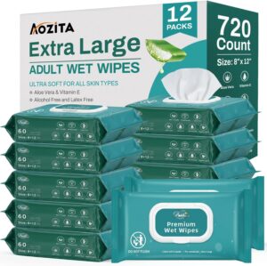 720 Count (12 Packs of 60) Wipes fo...