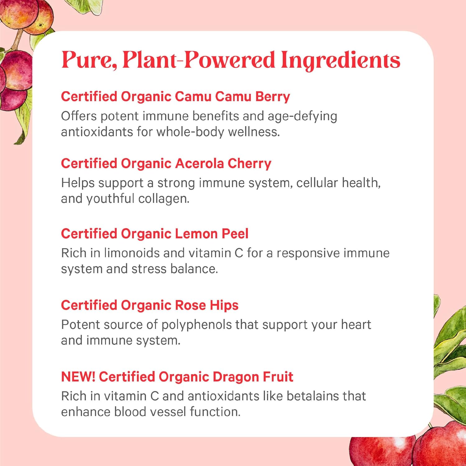 PURE SYNERGY Pure Radiance C | Organic Vitamin C Capsules | 100% Natural, Whole Food, Non-GMO Supplement with Organic Camu Camu | for Immune and Collagen Support (90 Capsules) - Image 6