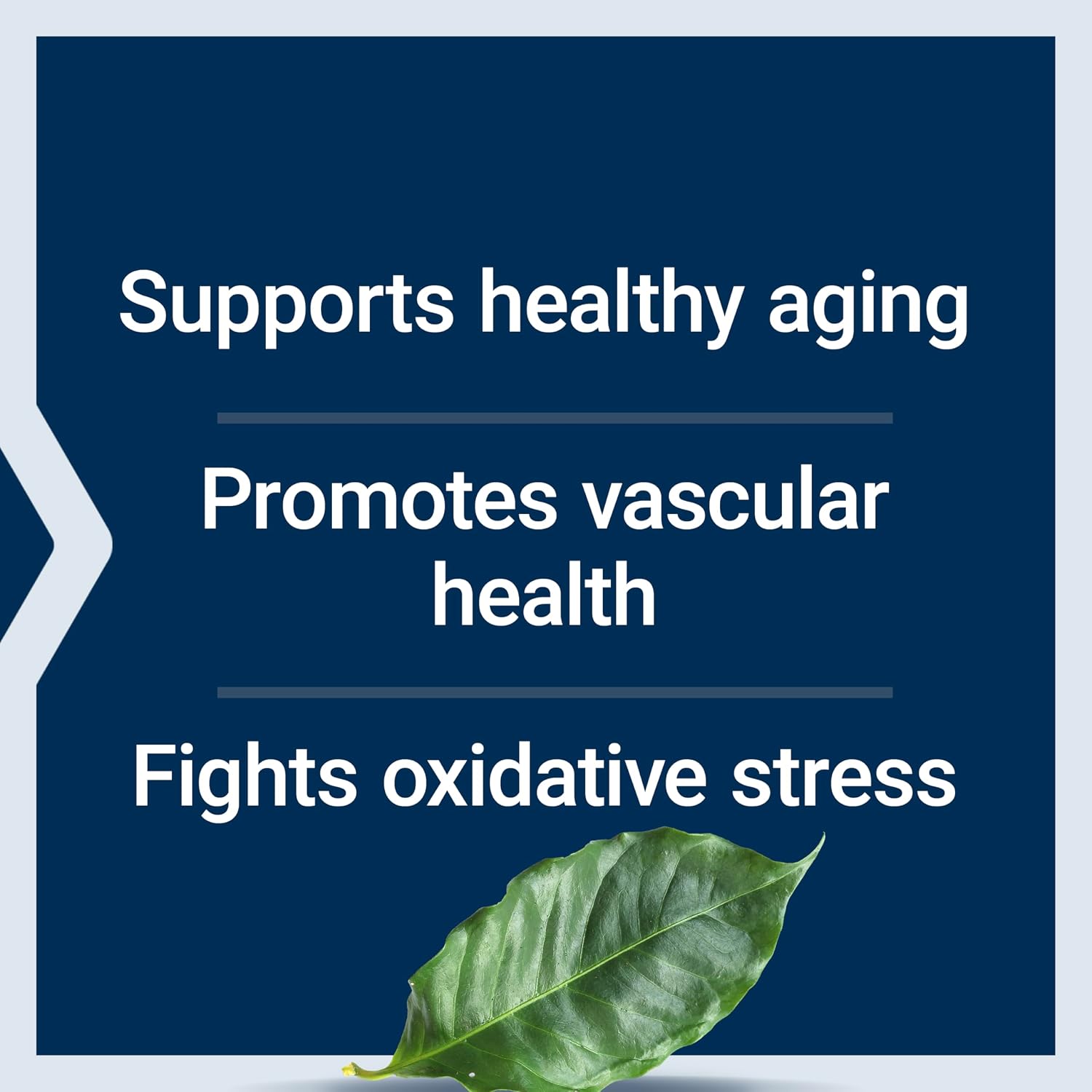 Life Extension Pycnogenol – French Maritime Pine Bark Extract – Scientifically Studied Healthy Aging & Vascular Health Supplement – Non-GMO, Gluten-Free, Vegetarian – 60 Capsules | Scientifically Studied Formula Supports Healthy Aging & Vascular Health, Non-GMO, Gluten-Free & Vegetarian - Image 4