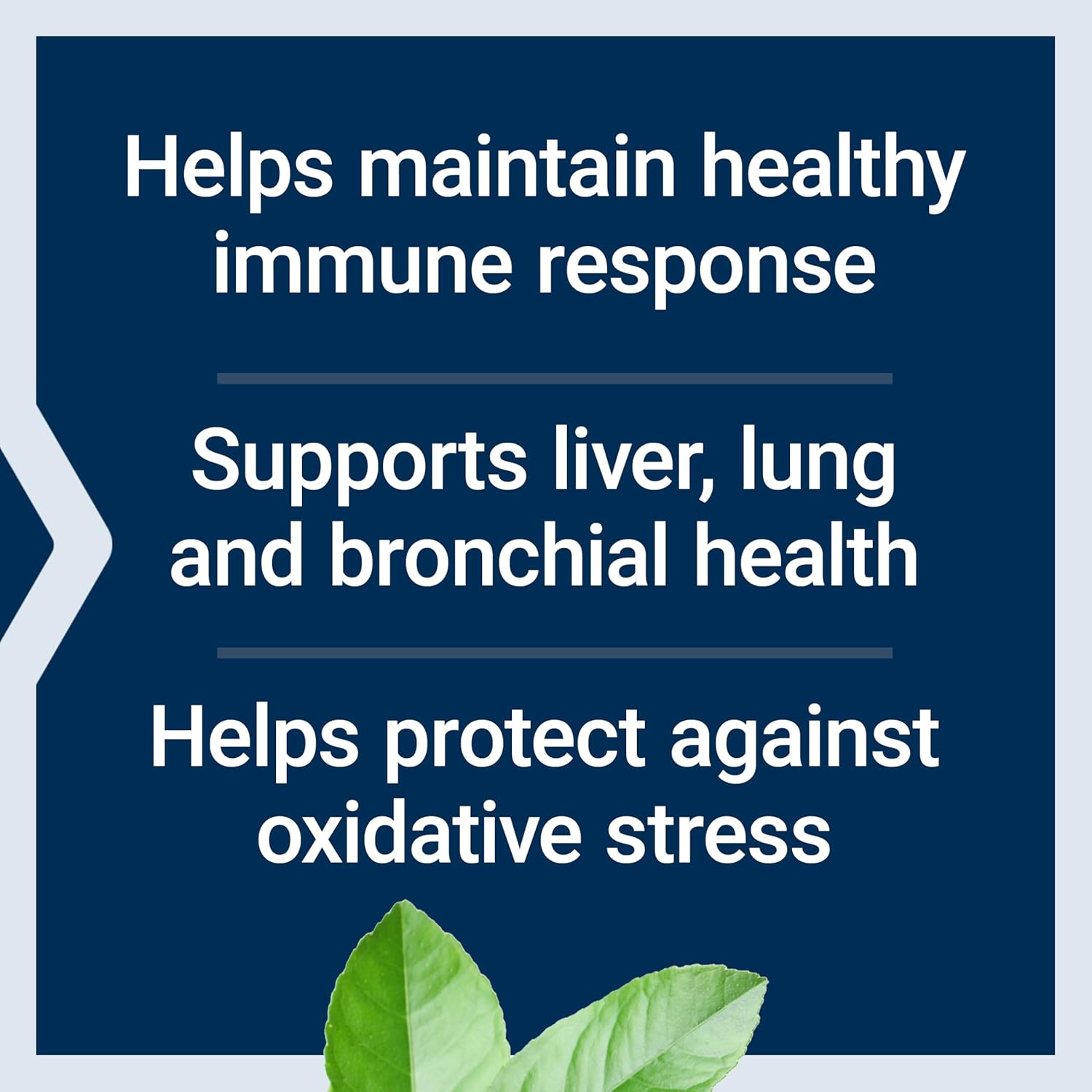 Life Extension N-Acetyl-L-Cysteine (NAC), Immune, Respiratory, Liver Health, NAC 600 mg, Potent antioxidant Support, Free-radicals, Easy to Absorb, 60 Capsules - Image 4