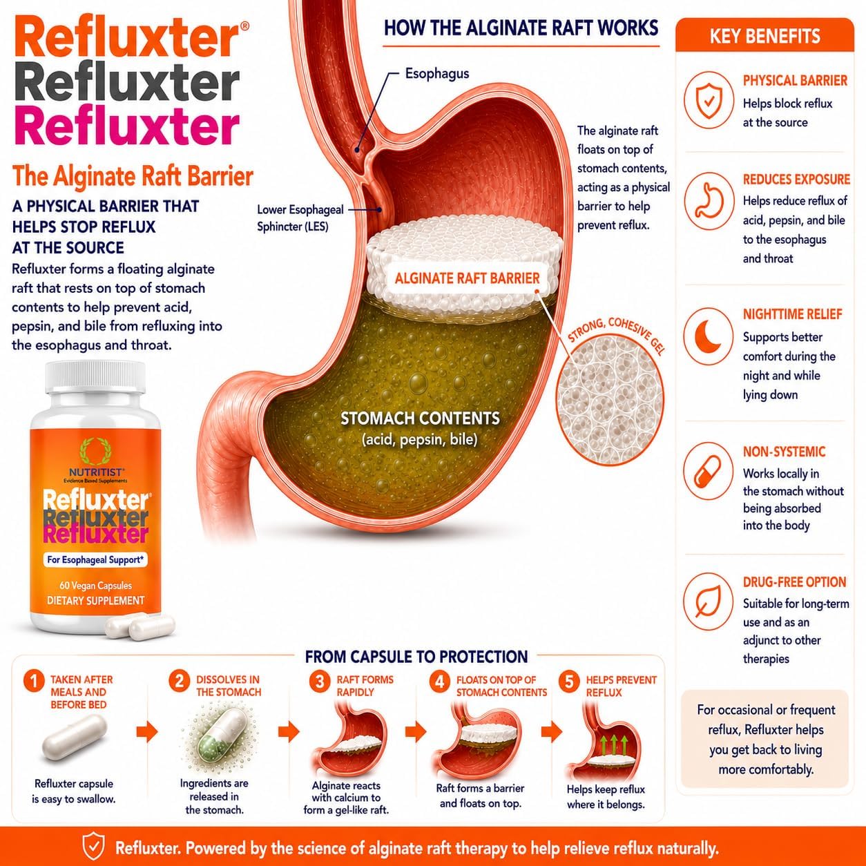 Refluxter Sodium Alginate Capsules 1000+ mg for Acid Reflux LPR & GERD | Natural alginate raft for heartburn, silent reflux & nighttime acid. Vegan supplement, 60 capsules, no aluminum or sugar - Image 3