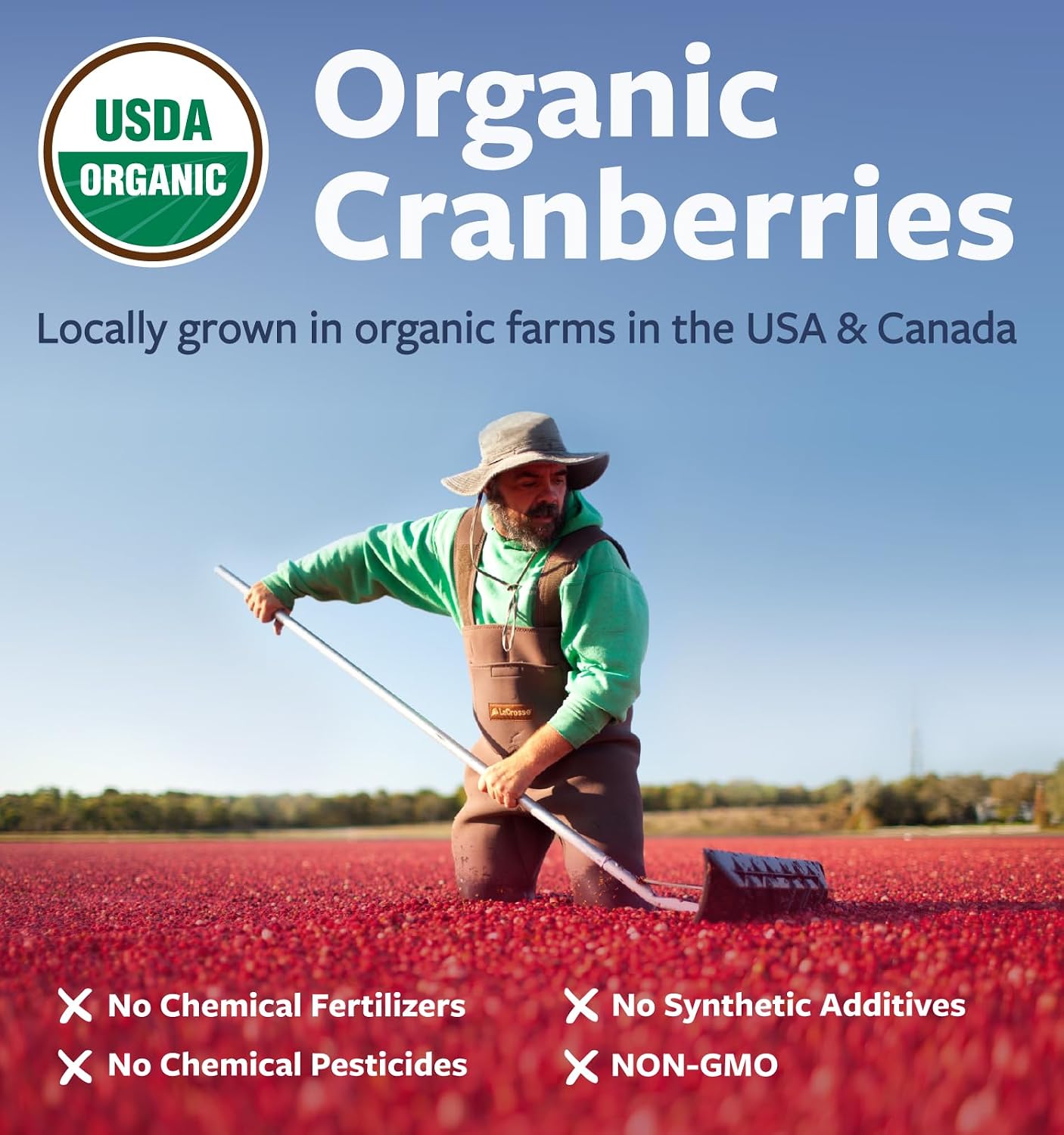 Organic Cranberry Pills for Women 500mg 50:1 Cranberry Concentrate Per Cap | Supports Urinary Tract Bladder and Kidney Health - Vegan Non-GMO USDA Organic & North American Sourced (2 Month Supply) - Image 5