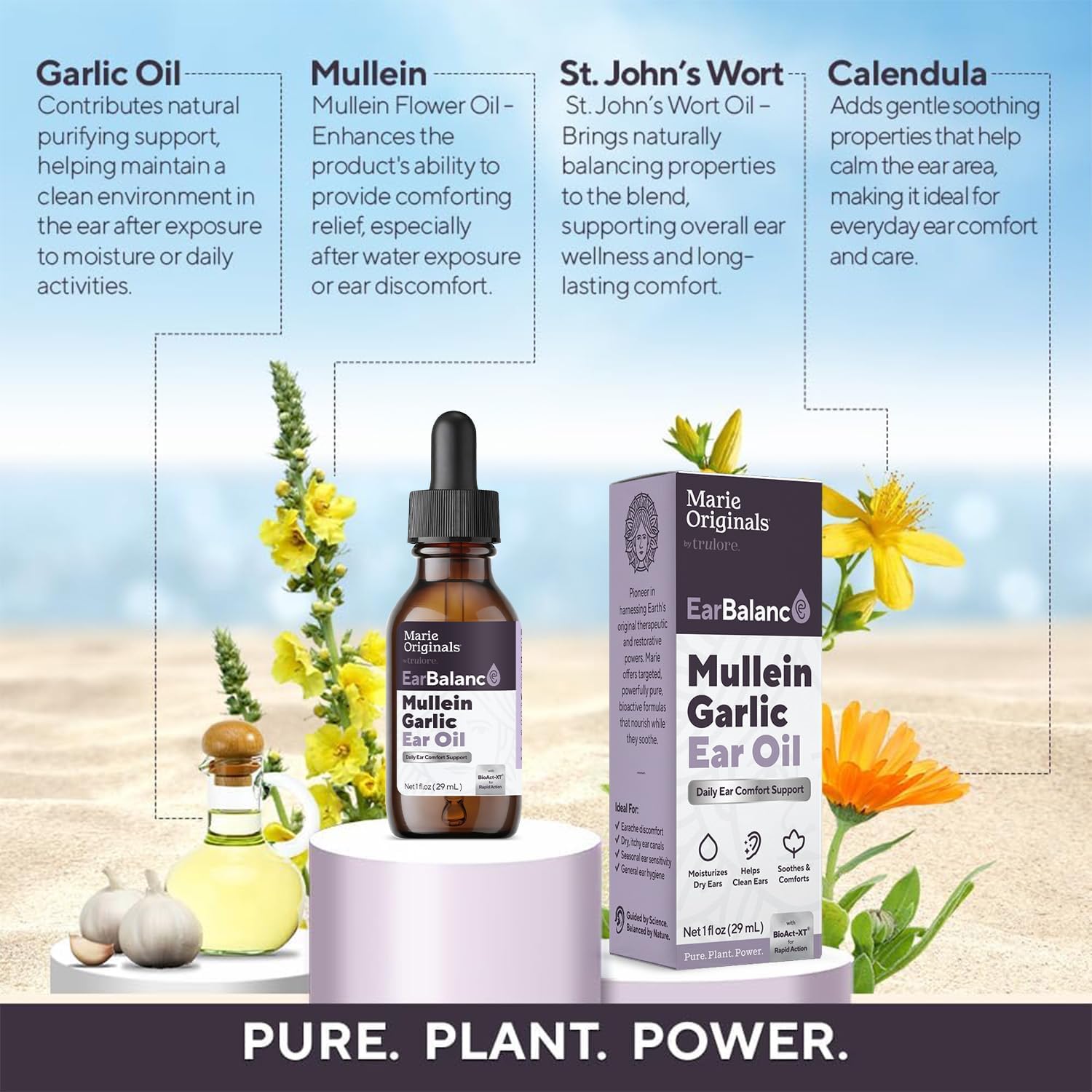 Marie Originals Mullein Garlic Ear Oil Drops, Natural Ear Oil, 2 Pack | Mullein ear oil and garlic ear oil with olive oil and calendula; natural ear oil drops support moisture and cleansing - Image 3