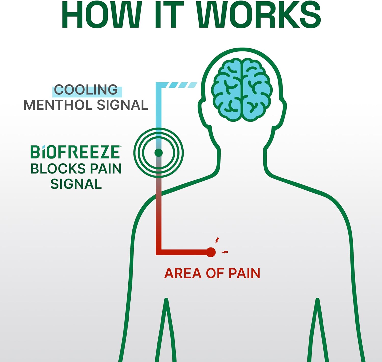 Biofreeze Professional Pain Relief Gel, Colorless Menthol Gel, 32 FL OZ - Image 6
