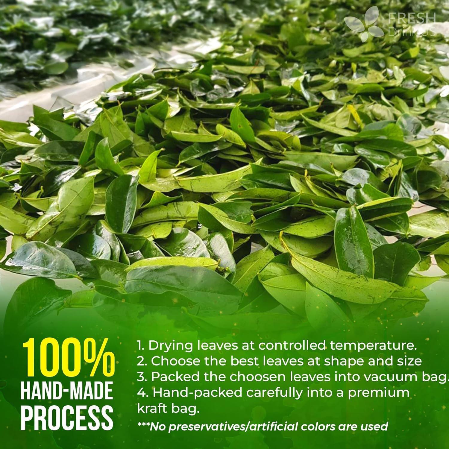 FreshDrinkUS, 240+ Premium Soursop Graviola Dried Leaves Tea, 230-250 Whole Soursop Leaves, Wildcrafted, Graviola , Guanabana , Hoja Guanabana, Loose Leaf Herbal , No Gluten, Vegan - Image 8