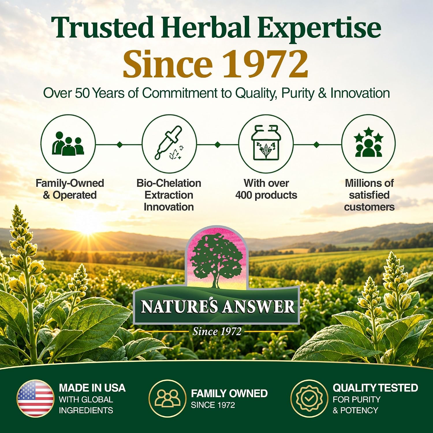 Nature's Answer Mullein Leaf | Herbal Supplement | Supports Healthy Respiratory Function & Healthy Mucous Membranes | Non-GMO & Kosher | Gluten-Free & Alcohol-Free 1oz - Image 9
