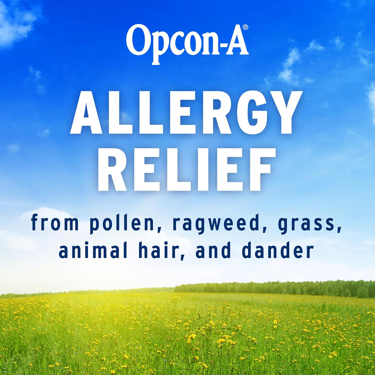 Opcon-A Allergy Eye Drops, Antihistamine and Redness Relief for Itchy, Red Eyes, Soothes Irritation from Pollen, Ragweed, Grass, Animal Hair and Dander Clinically Proven Formula, 0.5 Fl Oz (Pack of 2) - Image 3