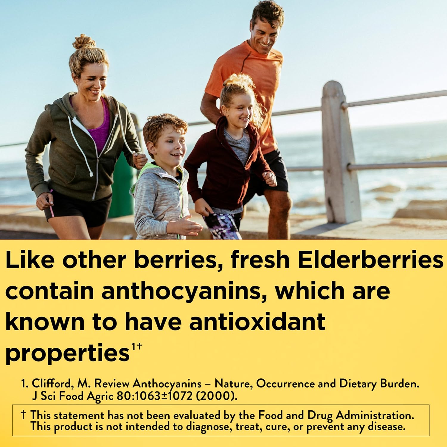 Nature Made Elderberry Gummies with Vitamin C & Zinc, 100 Gummies - Image 2