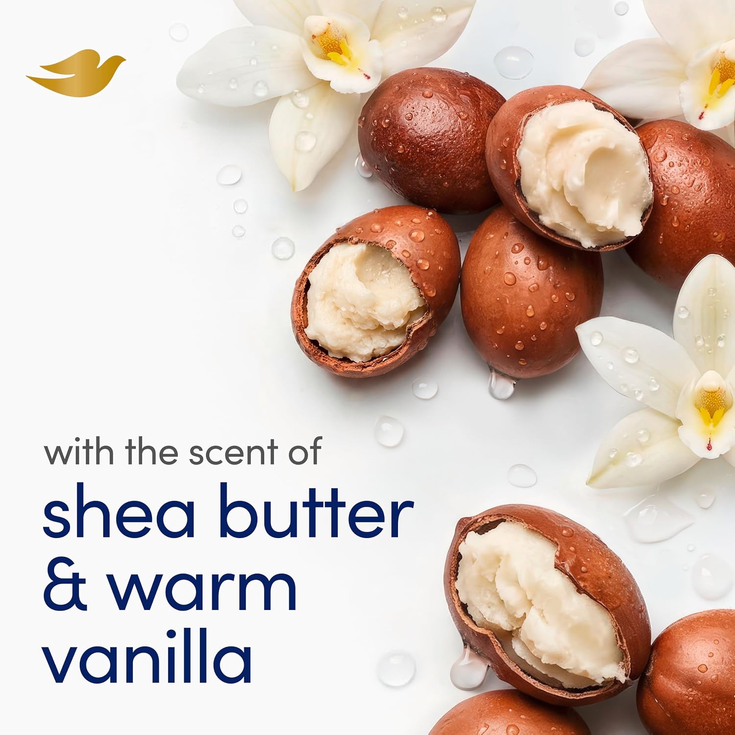 Dove Beauty Bar Soap 8 Bars Shea Butter, for Nourished, Radiant Skin, Enriches Skin 3.75 oz | Moisturizing beauty bar with ¼ moisturizing cream and shea butter for soft, radiant skin - Image 4