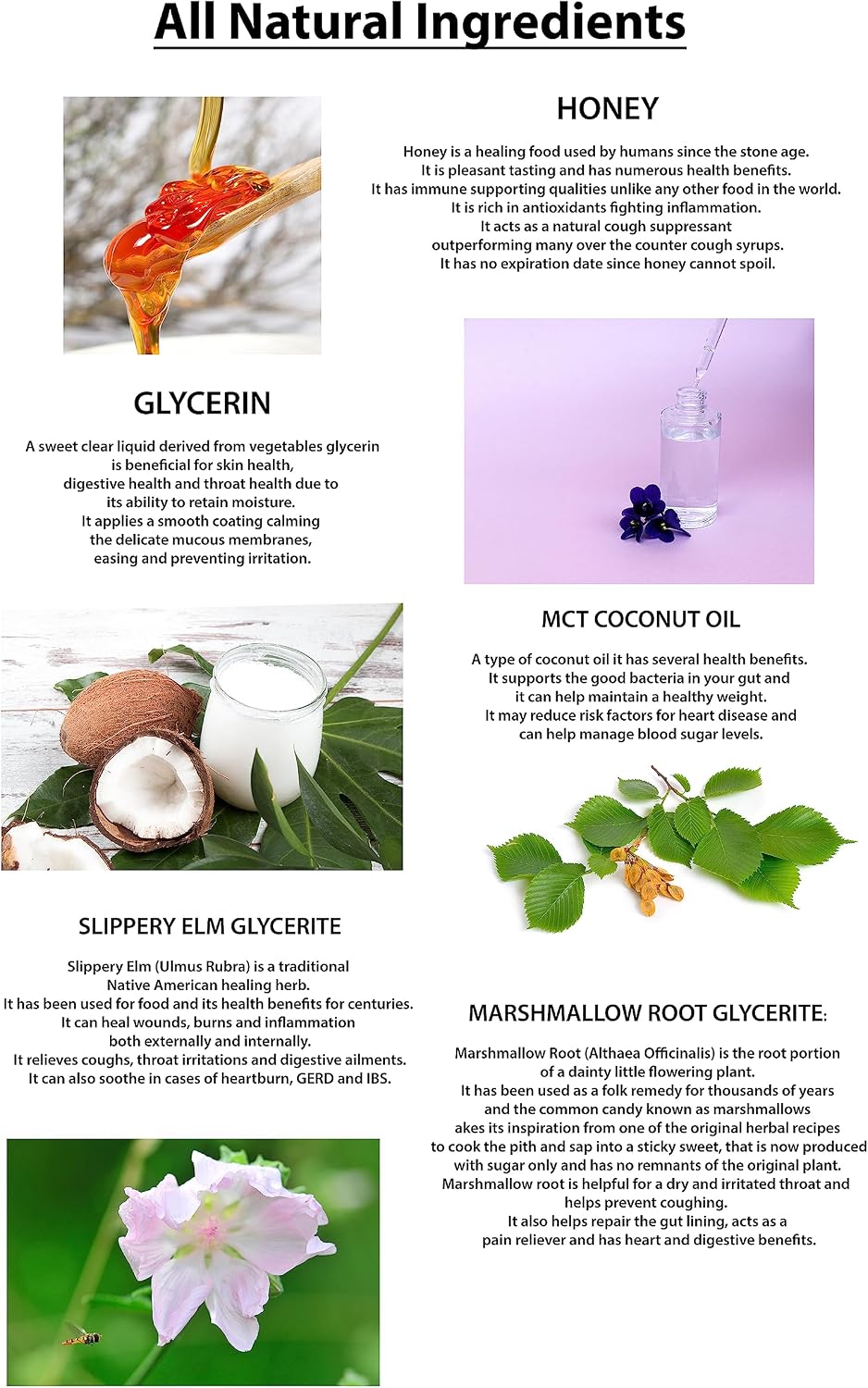 Throat Coat Syrup – Honey Glycerite with Organic Slippery Elm & Marshmallow Root – One Pump Coats & Soothes Dry, Scratchy, Irritated Throats – 220 Doses, 1 Calorie Each, About 9¢ a Dose. - Image 6