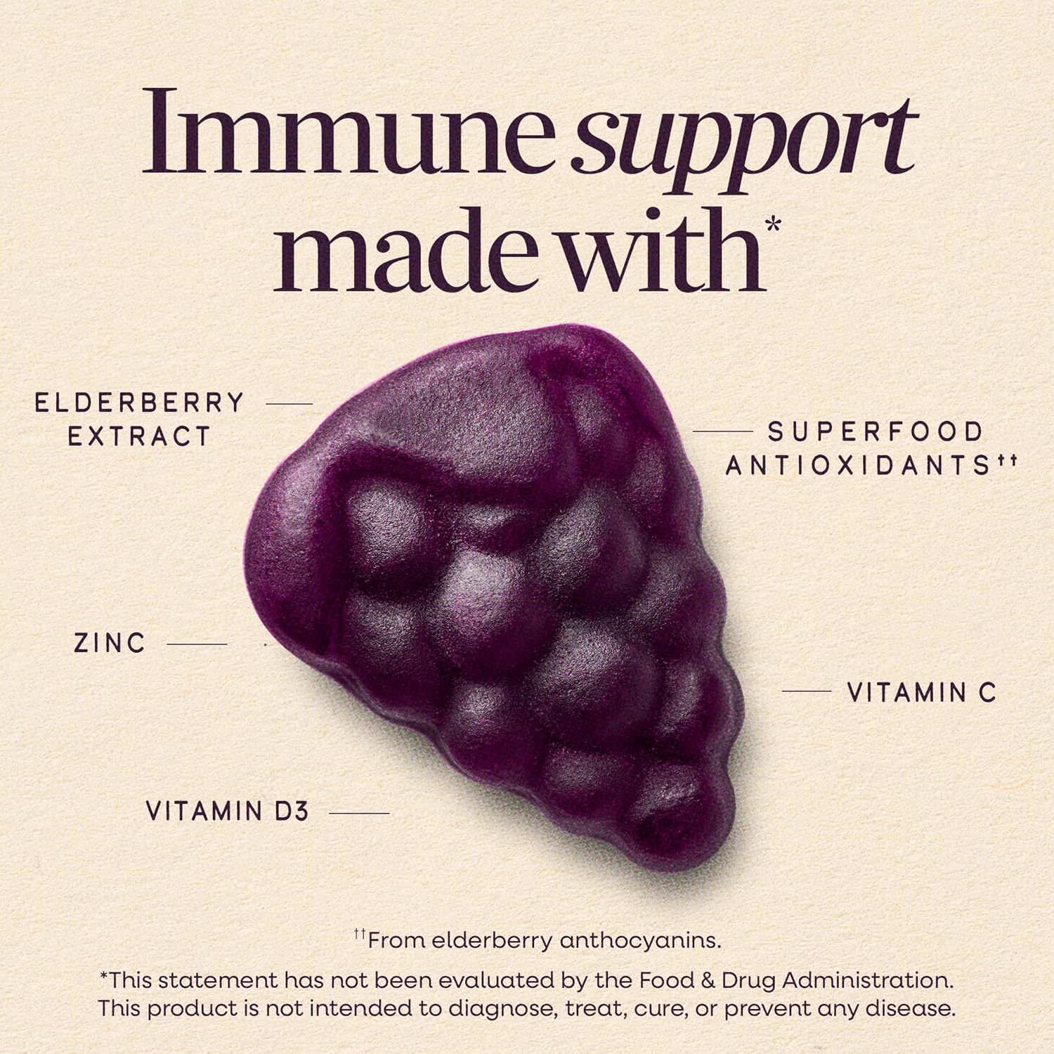 Nature's Way Sambucus Elderberry Gummies for Immune Support* Ages 4+, 60 ct | Immune Gummy with Black Elderberry Extract, Vitamin C, D3, Zinc, and Superfood Antioxidants*, Adults & Kids Ages 4+ - Image 2