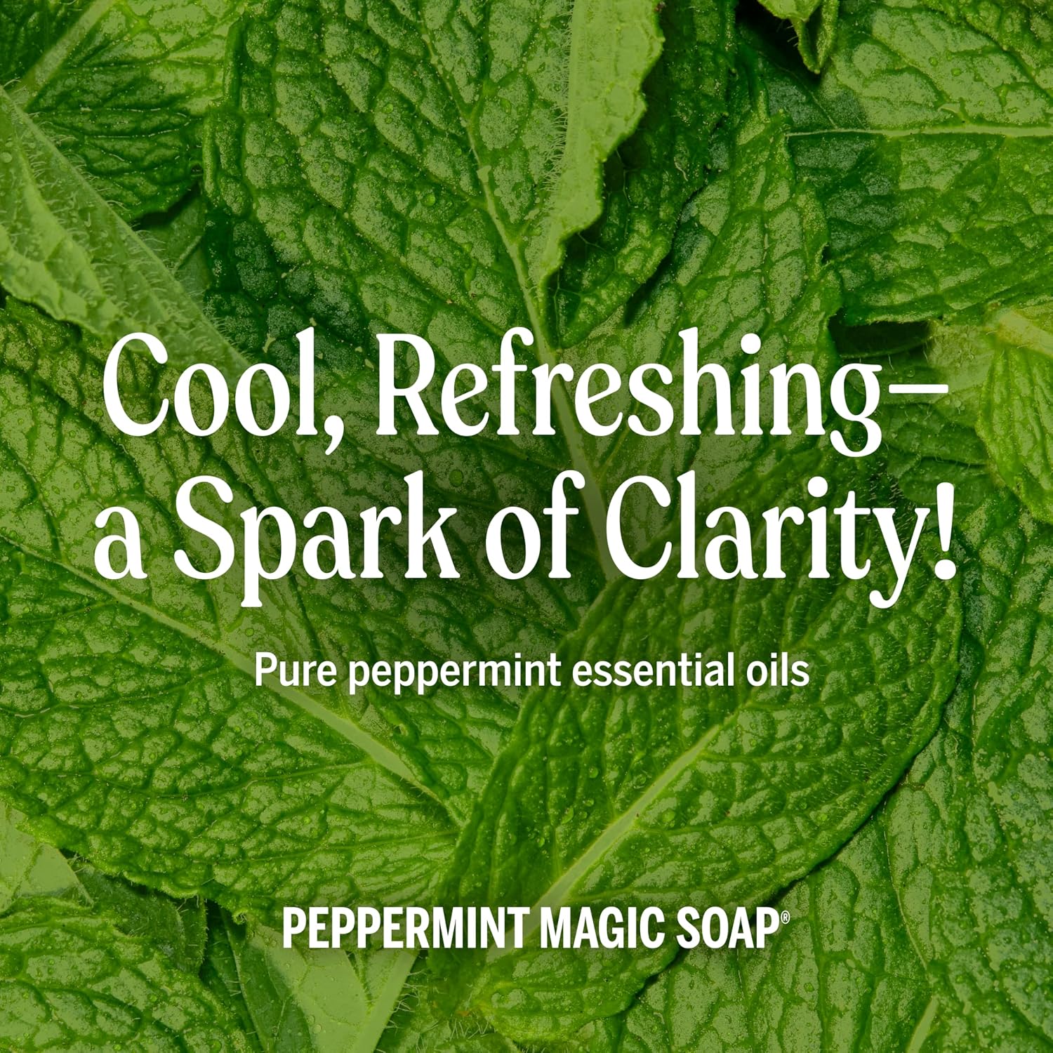 Dr. Bronner's Peppermint Pure-Castile Liquid Soap, Hand Soap, 32 oz | 18-in-1 Uses: Body Wash & Hand Soap for Men and Women, Shampoo, Face, Laundry, Floors, Cars, Pets - Fair Trade & Organic Oils - Image 5