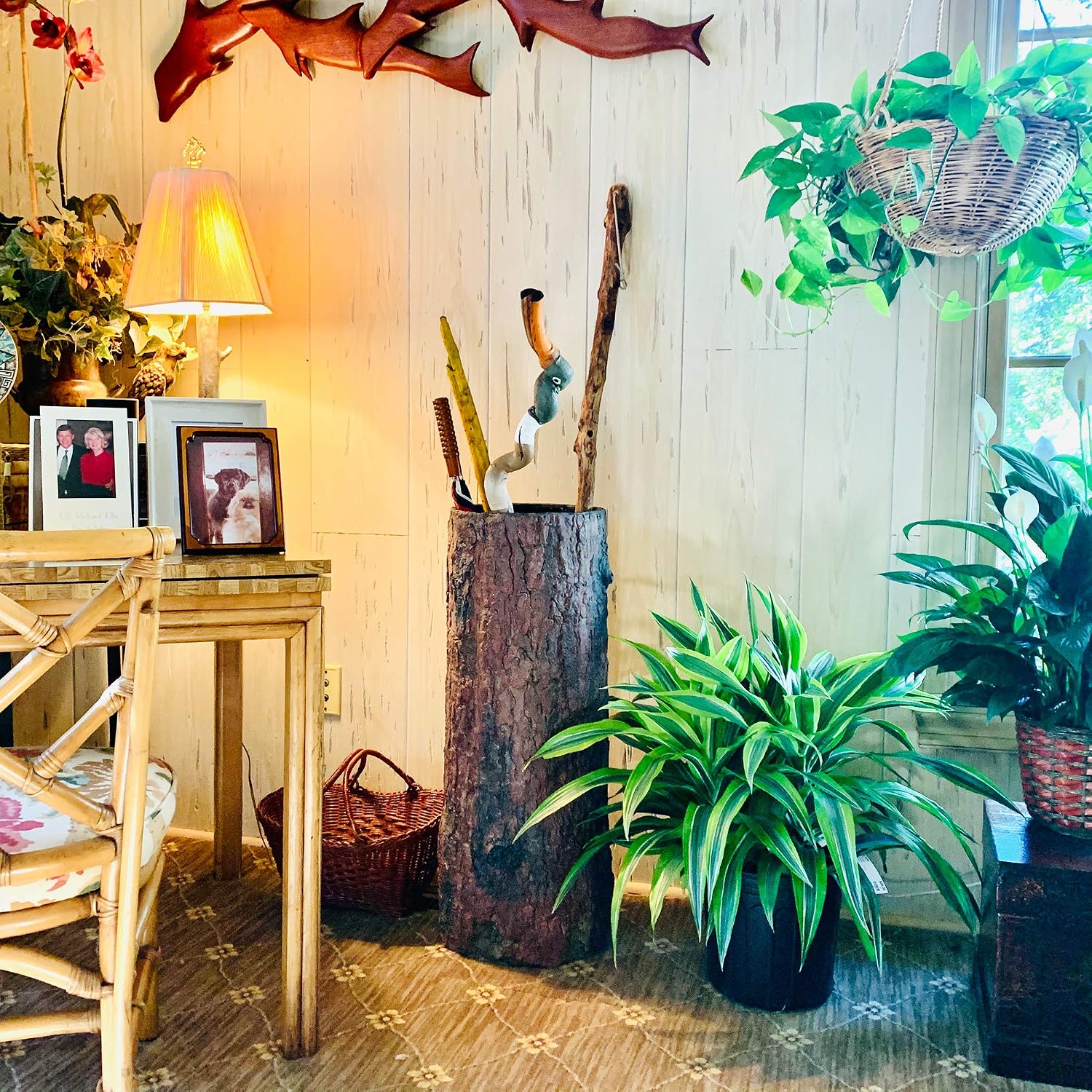 Country Stump π³ Vintage Farmhouse Umbrella Stand. Unique Indoor / Outdoor Walking Stick & Umbrella Holder. Rustic Home Entryway Log Bin. - Image 2