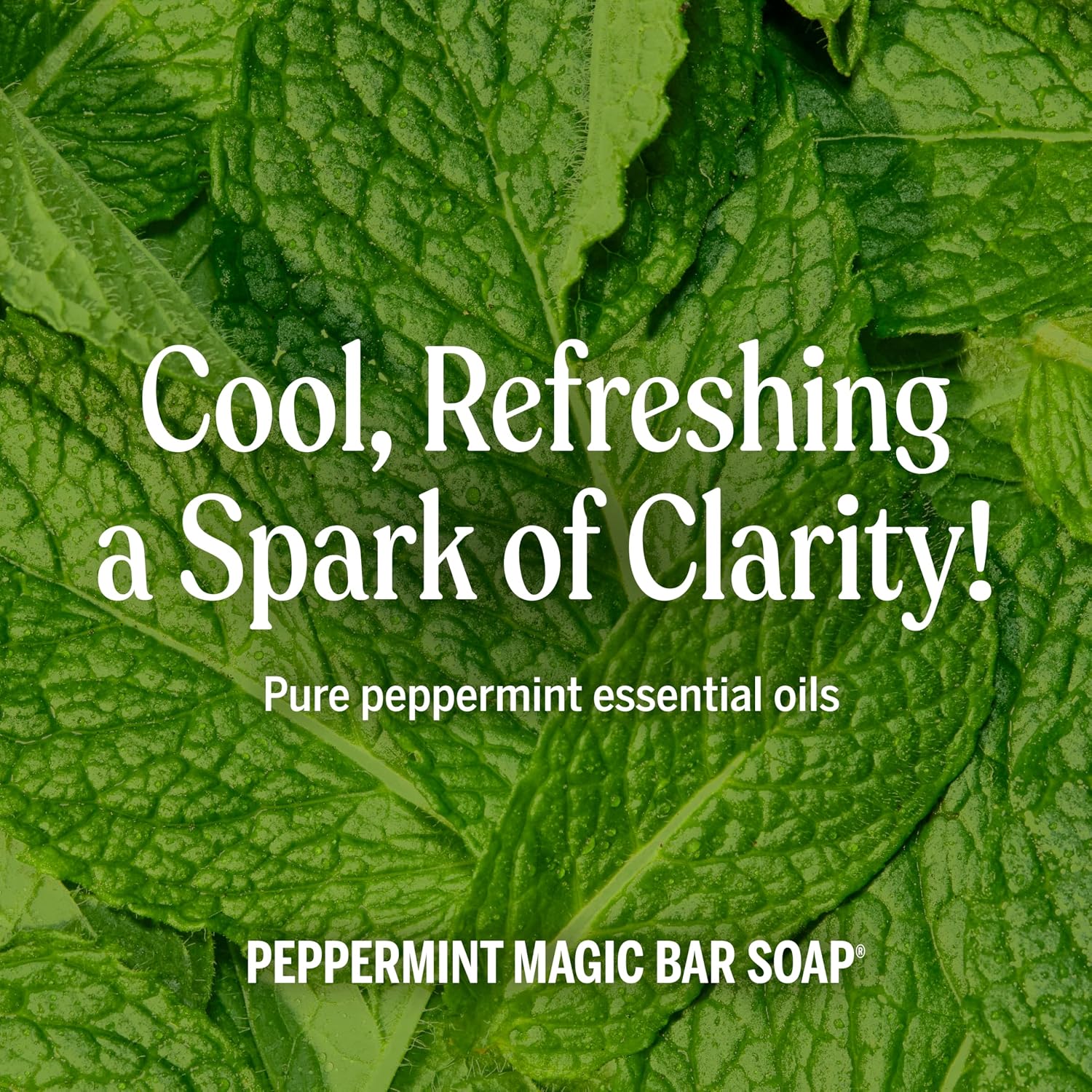 Dr. Bronner's Castile Bar Soap for Men & Women, Peppermint, 5 oz, 2-Pack - Image 5