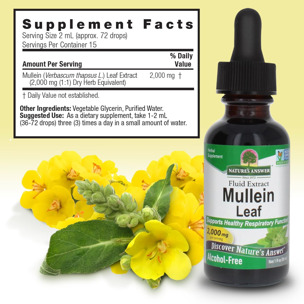 Nature's Answer Mullein Leaf | Herbal Supplement | Supports Respiratory Function & Mucous Membranes | Non-GMO & Kosher | Gluten-Free & Alcohol-Free 1oz (2 Pack) - Image 3