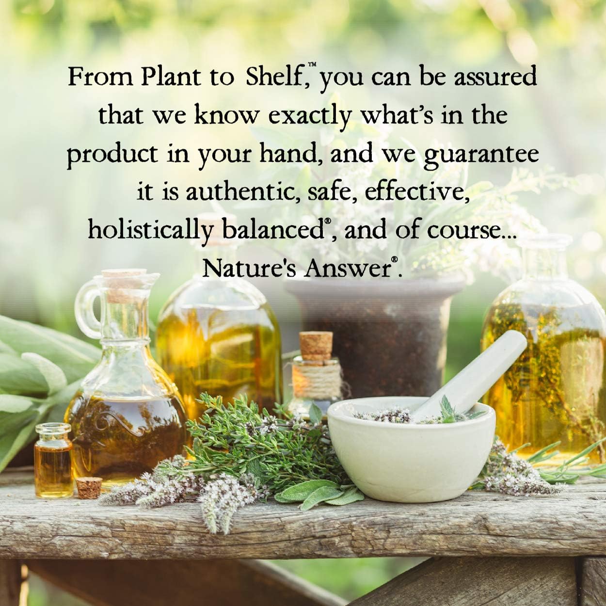 Nature's Answer Mullein Leaf | Herbal Supplement | Supports Respiratory Function & Mucous Membranes | Non-GMO & Kosher | Gluten-Free & Alcohol-Free 1oz (2 Pack) - Image 7