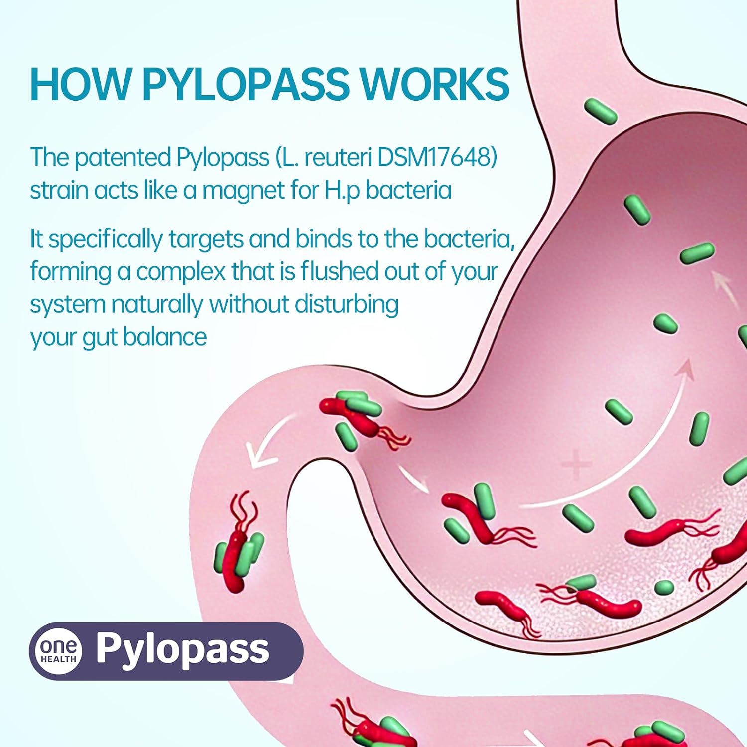 5-in-1 High Potency H. Pylori Probiotic, 1 Per Day - Supports Gastric Lining Integrity, Occasional Indigestion, Acid Comfort - Pylopass Lactobacillus Reuteri, Gluten Free, Vegan, 30ct, Made in Germany - Image 7