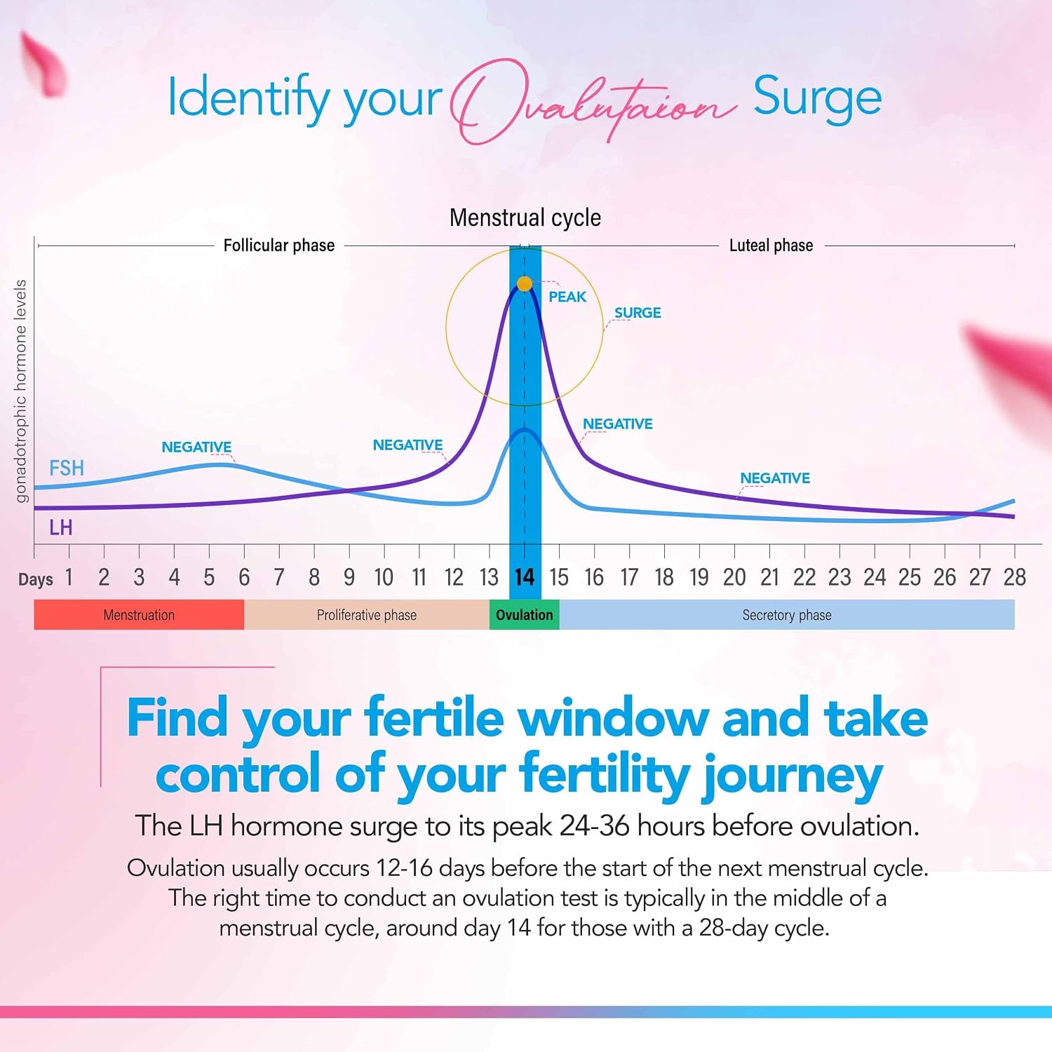 Clinical Guard Ovulation Test Strips Pack of 100 - Accurate Measurement Within 5 min - Ovulation Tests Cost-Effective Fertility Test for Women - Image 3