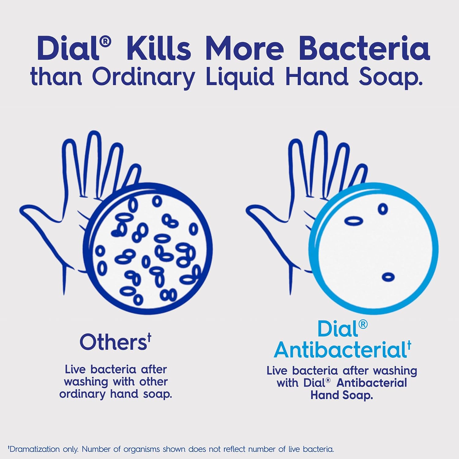 Dial Antibacterial Defense Liquid Hand Soap + Aloe, White Tea Scent, 11 Fl Oz (Pack of 4), Dermatologist-Tested Hand Wash, Gentle Formula - Image 9