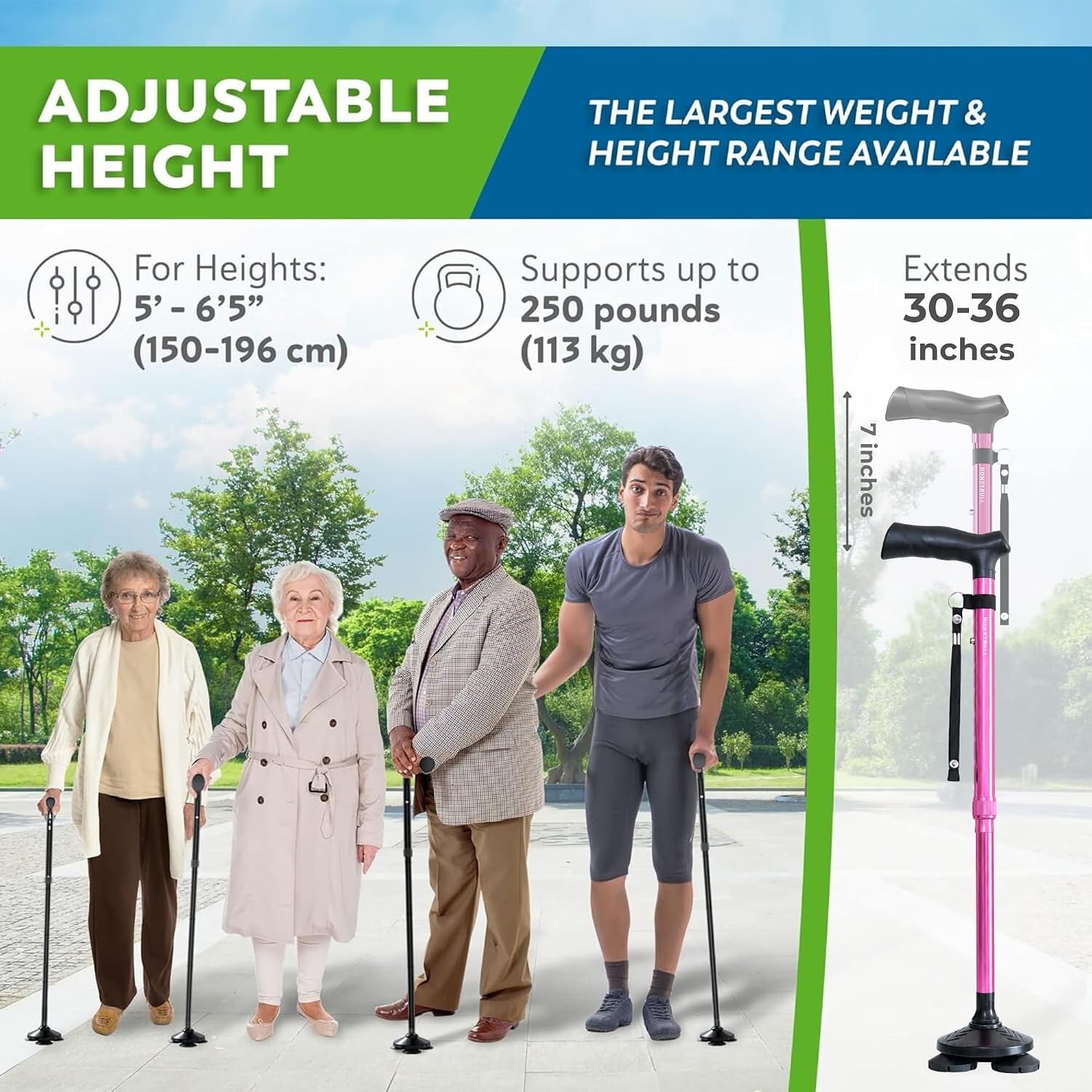 HONEYBULL Walking Cane for Men & Women, Foldable Free Standing Cane - Image 7