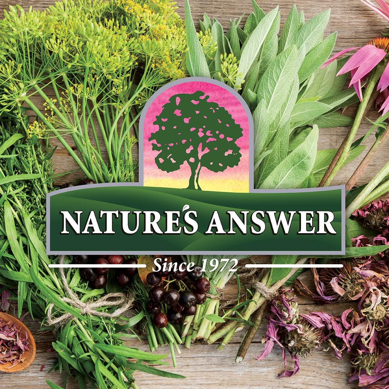 Nature's Answer Mullein Leaf | Herbal Supplement | Supports Respiratory Function & Mucous Membranes | Non-GMO & Kosher | Gluten-Free & Alcohol-Free 1oz (2 Pack) - Image 6
