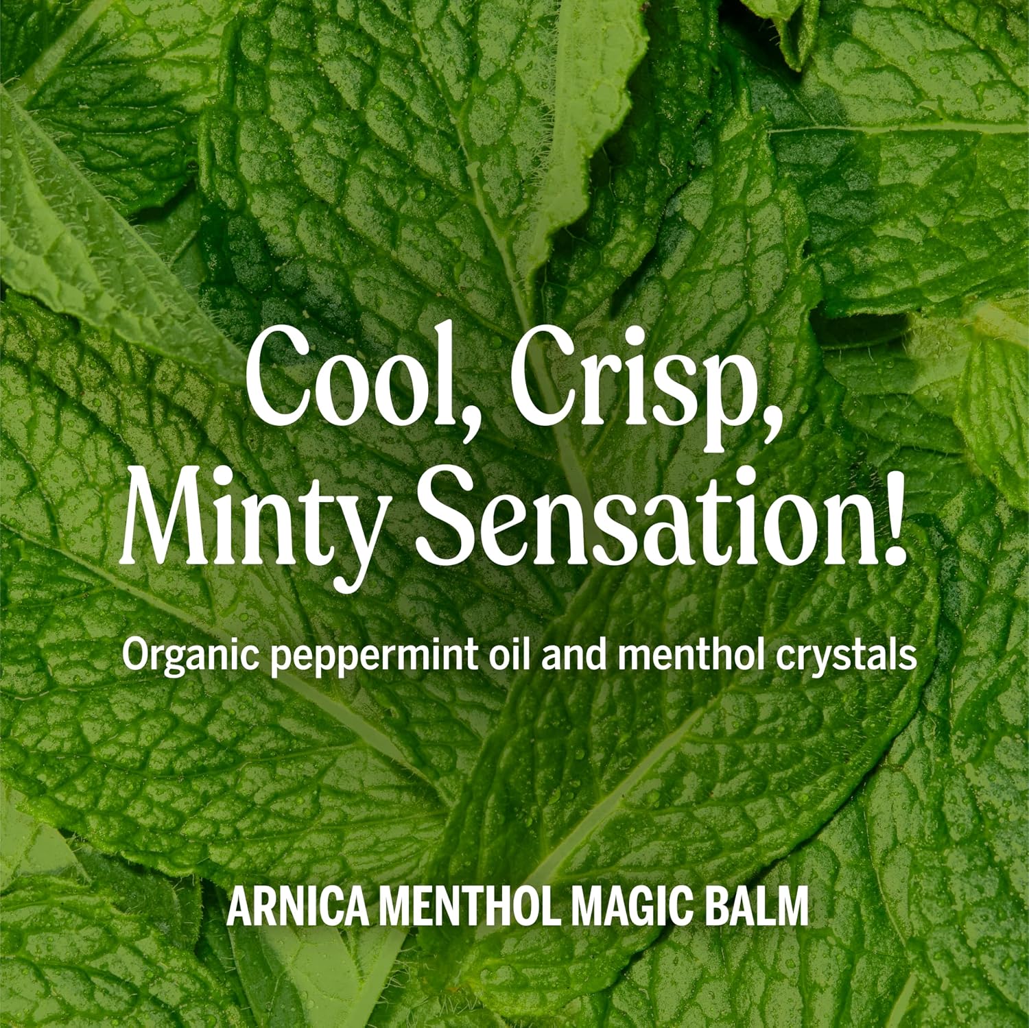 Dr. Bronner's - Organic Magic Balm - Arnica-Menthol, Made w/Organic Beeswax & Hemp Oil, Moisturizes & Soothes Hands, Face, & Body (2 oz, 2-Pack) - Image 4