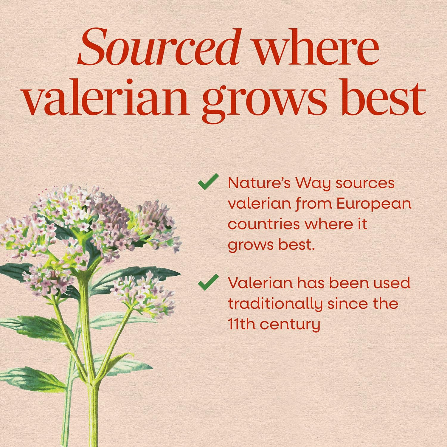Nature's Way Valerian Nighttime, Valerian Root Sleep Support*, 100 Tablets - Image 3