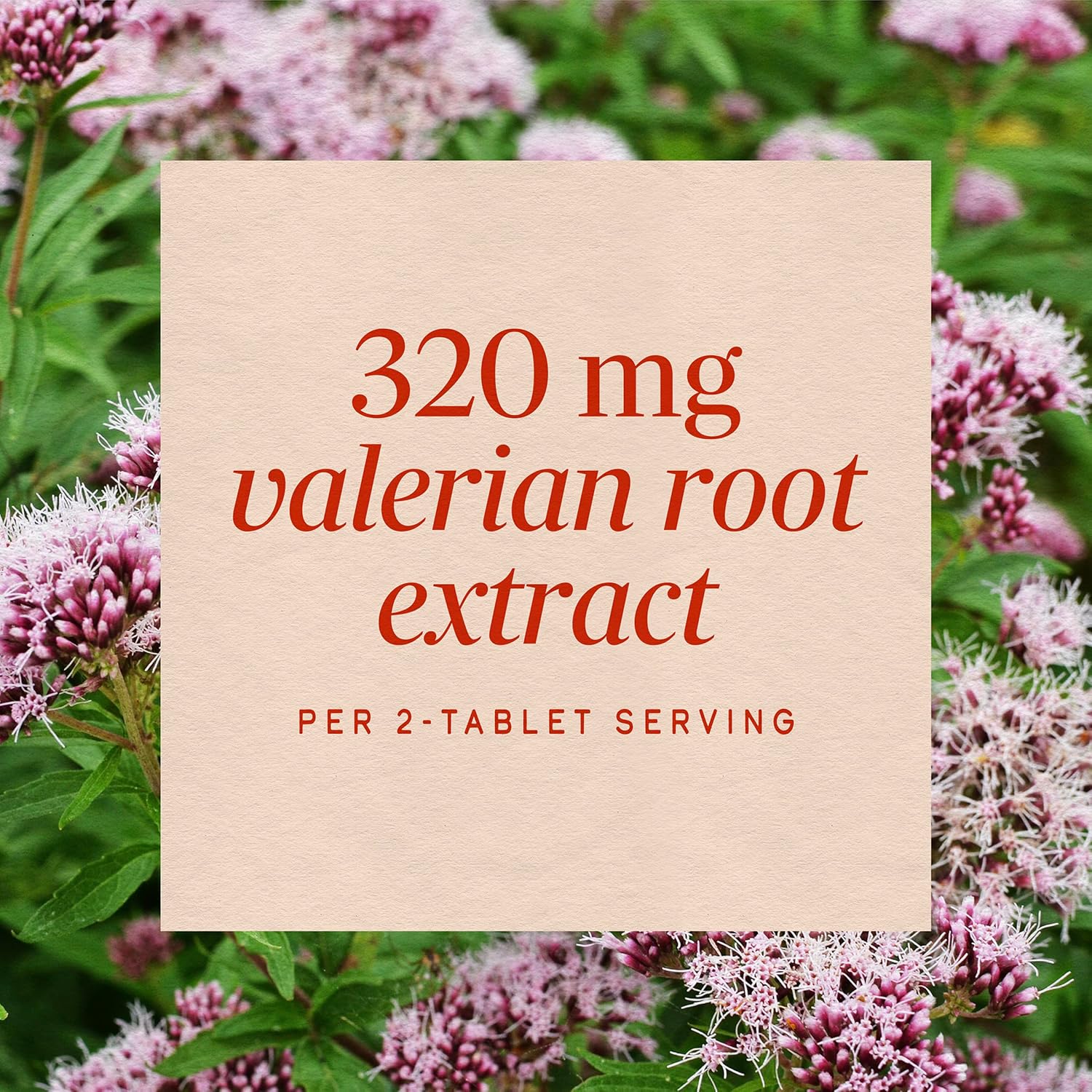 Nature's Way Valerian Nighttime, Valerian Root Sleep Support*, 100 Tablets - Image 4