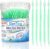 DanTicy Brushpicks Interdental Toothpicks,Soft Bristle Dental Floss Picks Toothpicks,Helps Removes Plaque and Debris Between Your Teeth, Mint, 300PCS (Pack of 1)