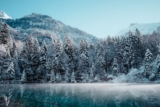 How to Prepare Your Home for Cold and Flu Season